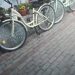 Pod Bluszczem *