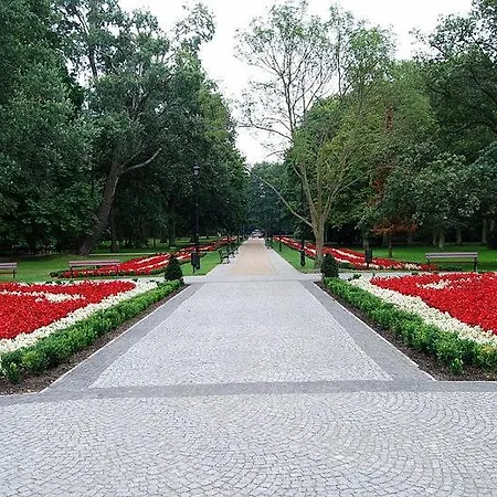 Appartement Pod Bluszczem *