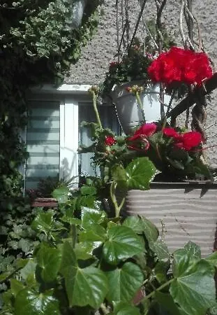 Pod Bluszczem Apartamento