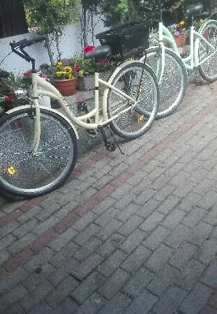 Pod Bluszczem *