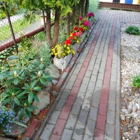 Pod Bluszczem *