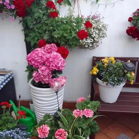 Pod Bluszczem * Świnoujście