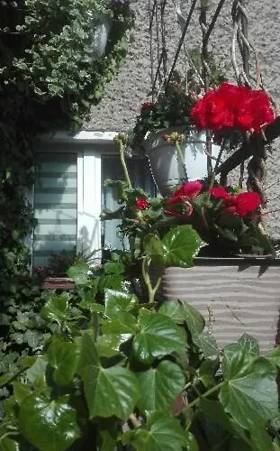 Pod Bluszczem Apartmán