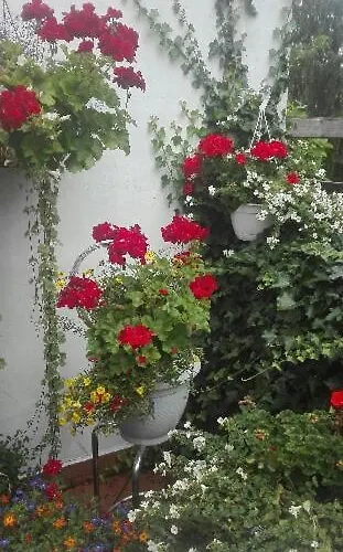 Pod Bluszczem Apartmán *