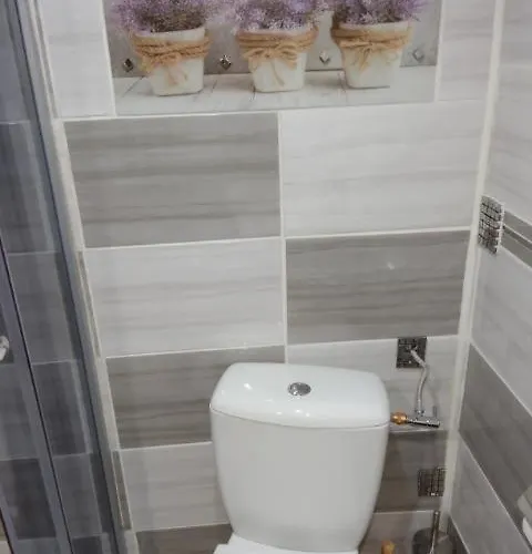 Pod Bluszczem Appartement *